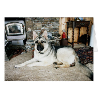 À pleine vue australien/cheminée