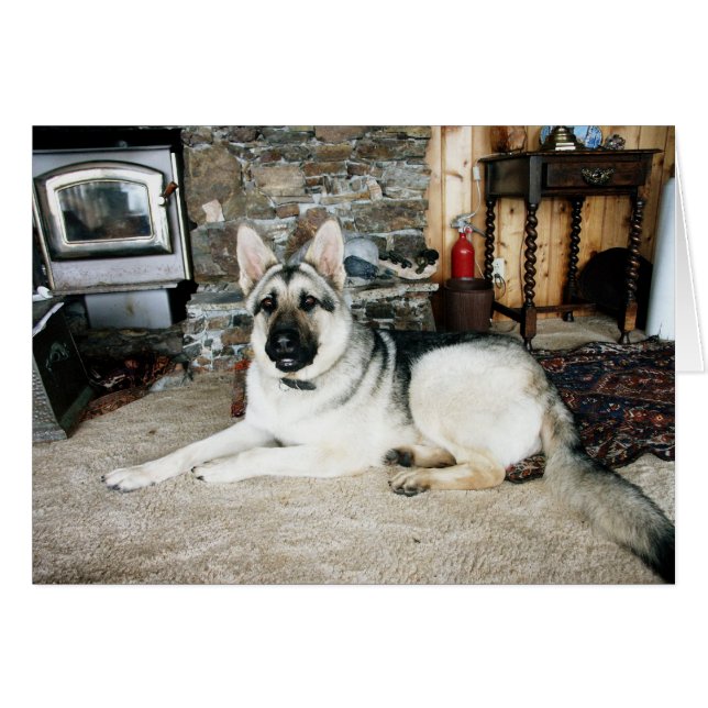 À pleine vue australien/cheminée (Devant horizontal)