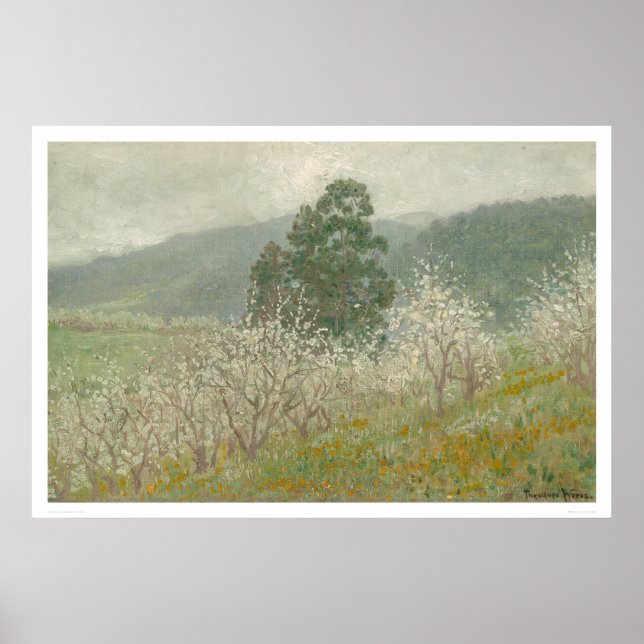 A Prune Orchard, Saratoga, Kalifornien (1170) Poster (Vorne)