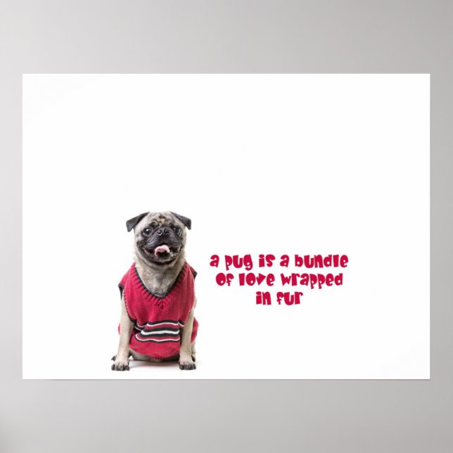 A Pug Is A Bundle Of Love Wrapped In Fur Poster (Vorne)