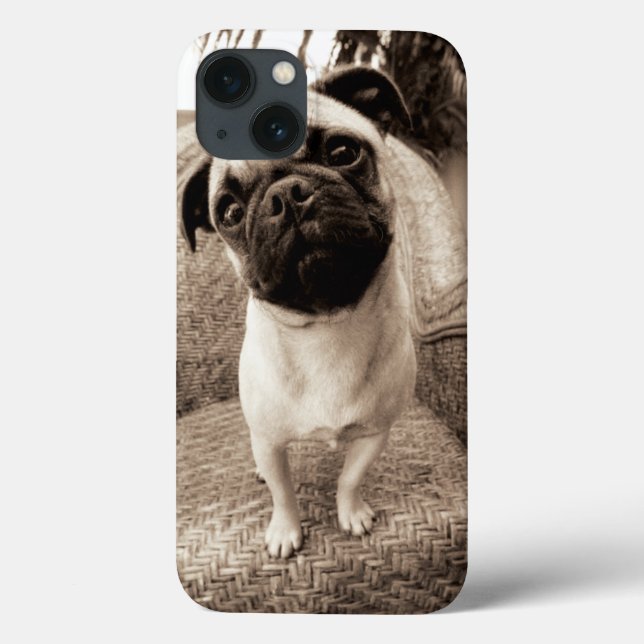 A Pug with its Head Titled to the Side Case-Mate iPhone Hülle (Rückseite)