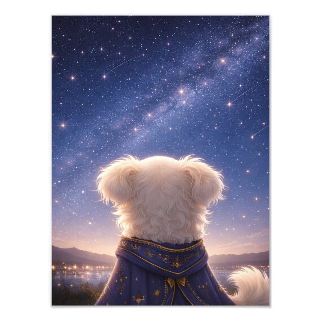 A Quiet Night Under the Stars – Art Print Fotodruck (Vorne)