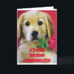 *A ROSE* FOR MY GRANDDAUGHTER "YOUR BIRTHDAY CARD KARTE<br><div class="desc">SOME TIMES WE CAN'T SEE YOUR **GRANDDAUGHTER** IN PERSON IT IS SO "NICE" TO BE ABLE TO SEND A CARD. THIS DOG IS SO EXCITED THAT YOU ETWAS HIM TO HELP YOU TODAY Â" THANK YOU FOR STOPPING BY ONE OF MY EIGHT STORES AND HAVE A GREAT TAG!</div>