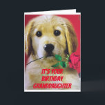 *A ROSE* FOR MY GRANDDAUGHTER "YOUR BIRTHDAY CARD KARTE<br><div class="desc">SOME TIMES WE CAN'T SEE YOUR **GRANDDAUGHTER** IN PERSON IT IS SO "NICE" TO BE ABLE TO SEND A CARD. THIS DOG IS SO EXCITED THAT YOU ETWAS HIM TO HELP YOU TODAY Â" THANK YOU FOR STOPPING BY ONE OF MY EIGHT STORES AND HAVE A GREAT TAG!</div>