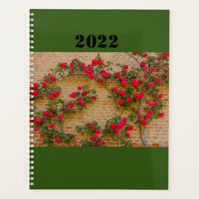 a roses climb on a brick wall  on planner planer (Vorderseite)