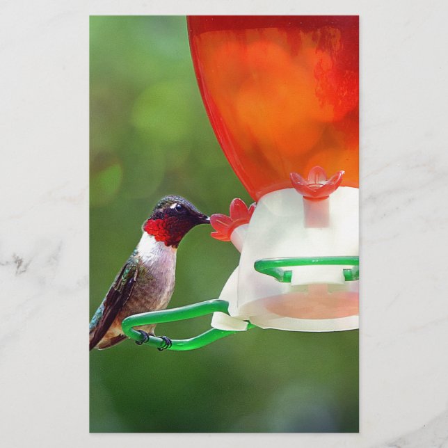 A Ruby Throated Hummingbird Briefpapier (Vorderseite)