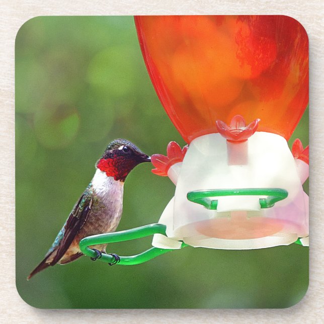 A Ruby Throated Hummingbird Getränkeuntersetzer (Vorderseite)