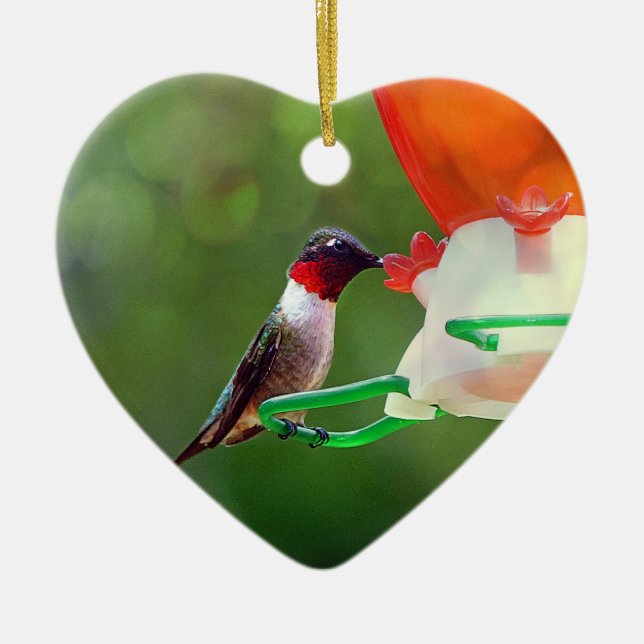 A Ruby Throated Hummingbird Keramikornament (Vorne)