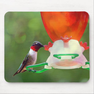 A Ruby Throated Hummingbird Mousepad