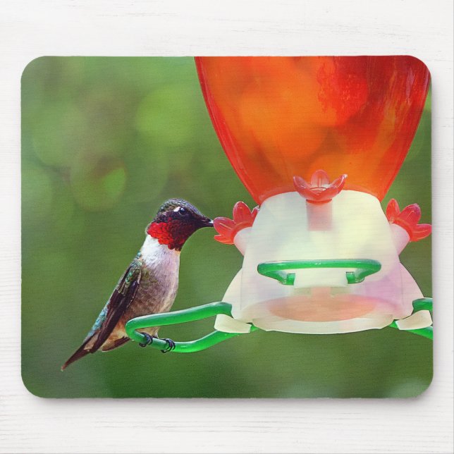 A Ruby Throated Hummingbird Mousepad (Vorne)