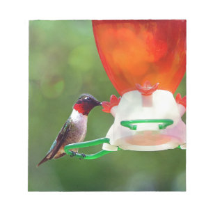 A Ruby Throated Hummingbird Notizblock