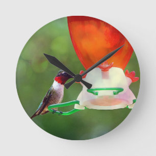 A Ruby Throated Hummingbird Runde Wanduhr