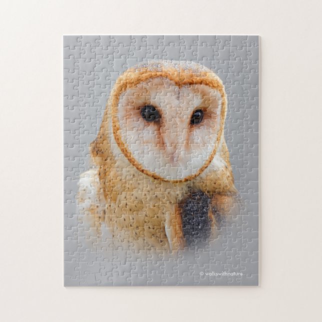 A Serene Barn Owl (Vertikal)