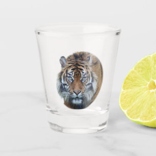 A Shot Belle Tigre Bengale Visage Photo Tirage Verre