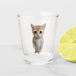 A Shot Coupe de verre El Gato Chat Mème
