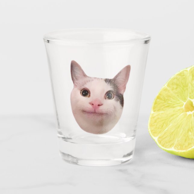 A Shot Mème de chat poli en verre de tir (Devant)