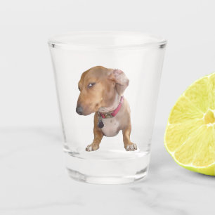 A Shot Mème de chien de chien oeil côté verre de tir