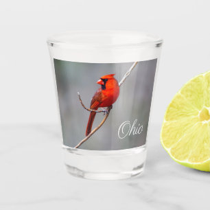 A Shot Verre à liqueur cardinal du nord d'Ohioi