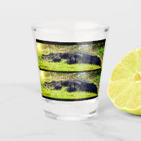 Verre à liqueur d'alligator de marais