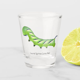 A Shot Verre à liqueur de Caterpillar de sphinx de