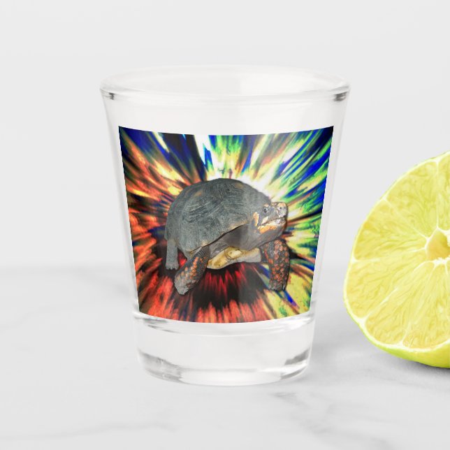 A Shot Verre à liqueur heureux de tortue (Devant)