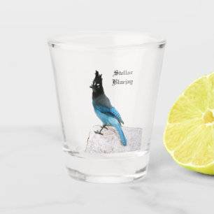 A Shot Verre à liqueur stellaire de geai bleu