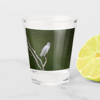 A Shot Verre aigrette garzette