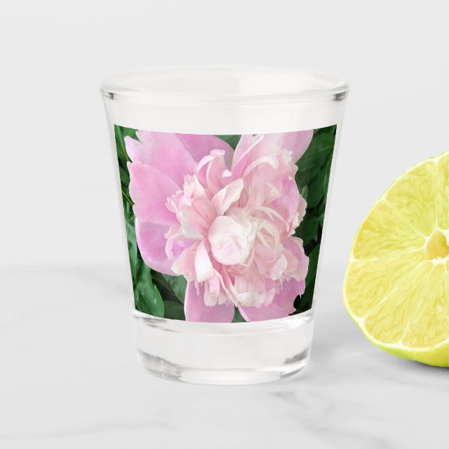 A Shot Verre de pivoine (Devant)