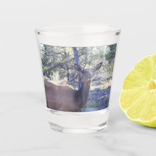 A Shot Verre de tir d'orignal