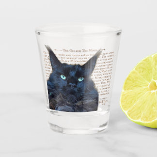 A Shot Verre de tir - noir Maine Coon chat