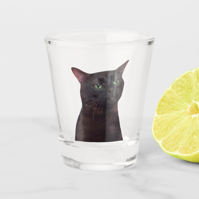 A Shot Verre de tir Zoned out Chat Meme (Devant)