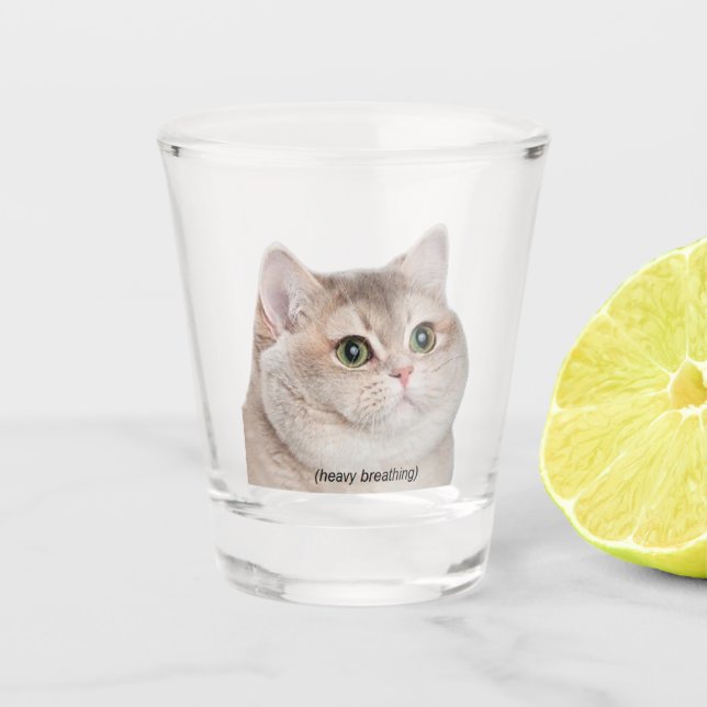 A Shot Verre Tiré Lourd Respiration Chat Mème (Devant)