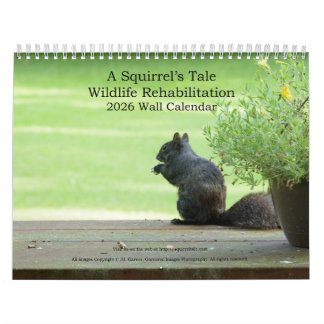 A Squirrel's Tale 2026 Wall Calendar Kalender