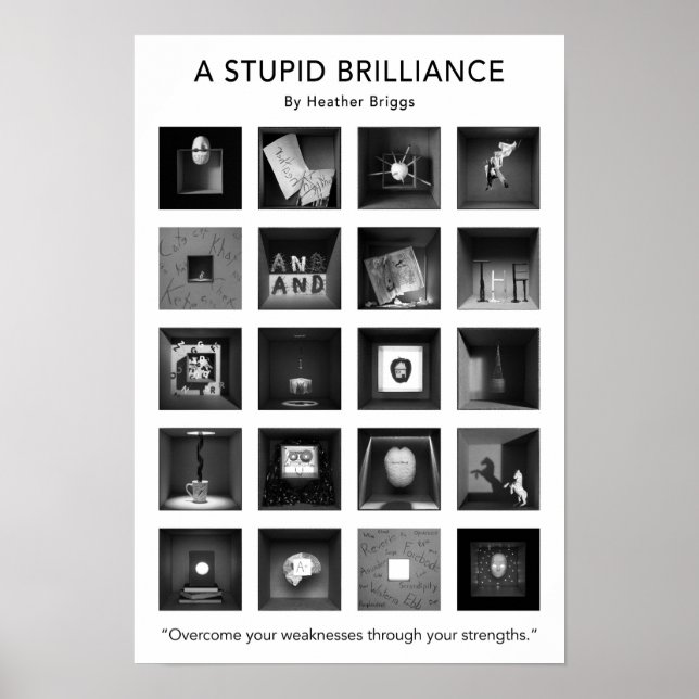 A Stupid Brilliance Poster 13x19 (Vorne)