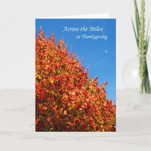 À travers les milles à la carte de thanksgiving