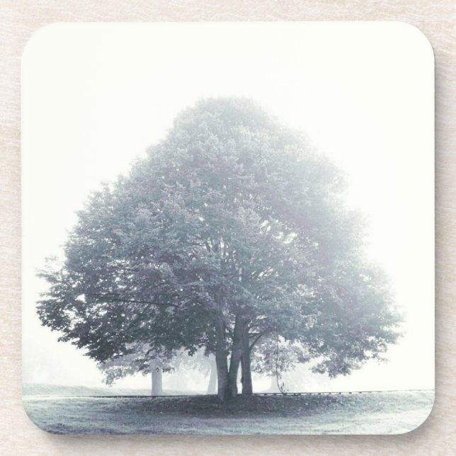 A Tree in Fog Black and White Untersetzer (Vorderseite)