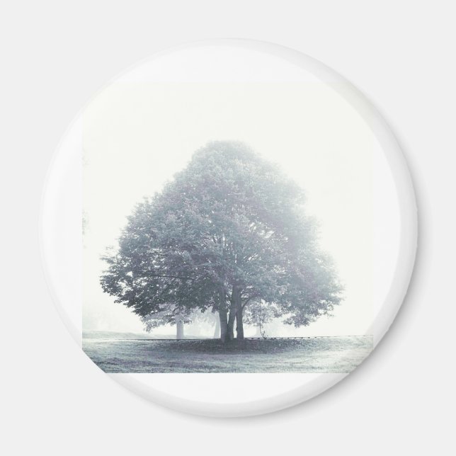 A Tree in Fog Magnet (Vorne)