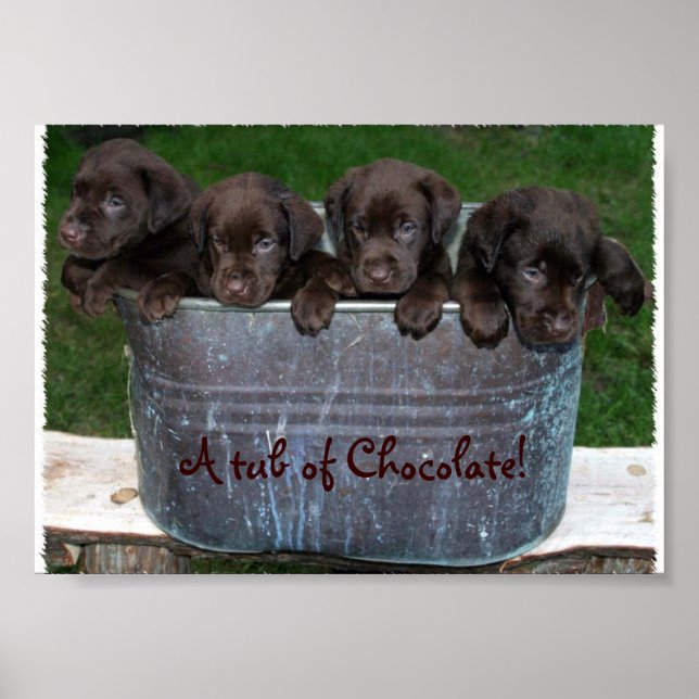 A tub of Chocolate picture Poster (Vorne)