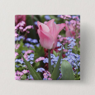 A tulip at Luxembourg Gardens, Paris, France Button