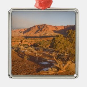 A Utah Juniper Juniperus osteosperma) Baum in 2 Silbernes Ornament
