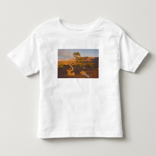 A Utah Juniper Juniperus osteosperma) Kleinkind T-shirt (Vorderseite)