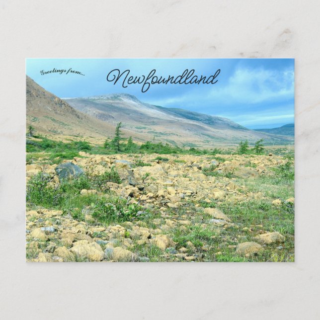 A View of Newfoundland Postkarte (Vorderseite)