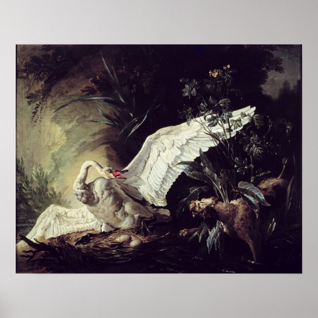 A Water Spaniel Poster (Vorne)