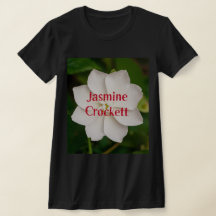 A white blooming jasmine flower with Jasmine Crock