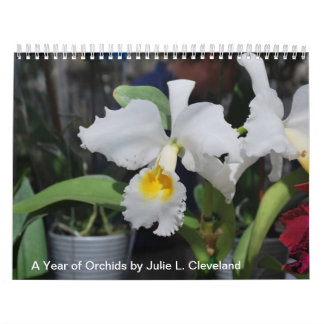 A Year of Orchids Flower Orchid Calendar Photos Kalender