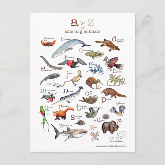A-Z of amazing animals Postkarte (Vorderseite)