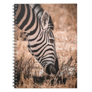 A ZEBRA ETOSHA NATIONALPARK NOTIZBLOCK