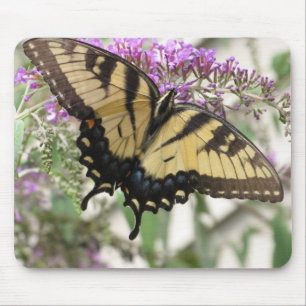 AA, gelber Frack-Schmetterling Mousepad