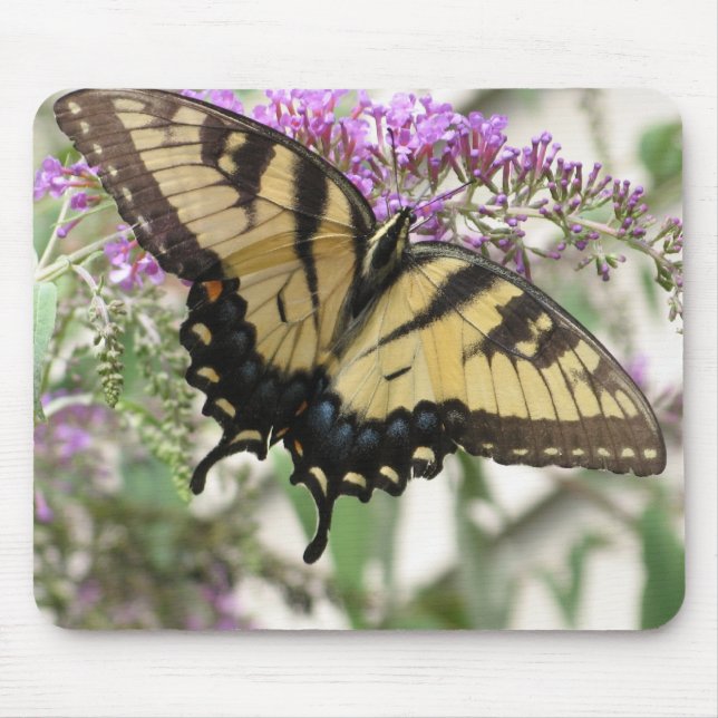 AA, gelber Frack-Schmetterling Mousepad (Vorne)