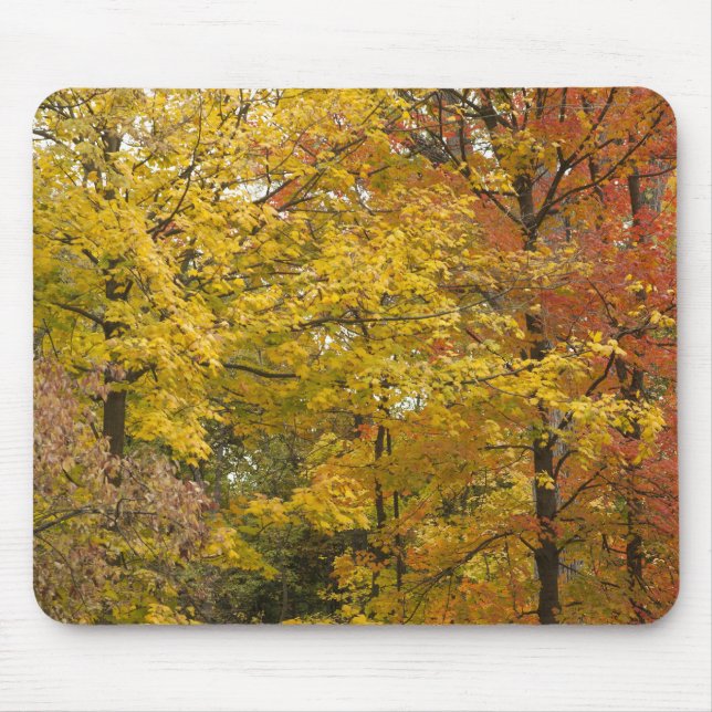 aaa mousepad (Vorne)